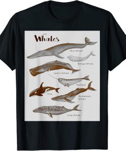 Whales Species Whale Sea Mammals Marine Mammal Orca Grey T-Shirt