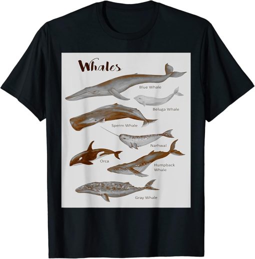 Whales Species Whale Sea Mammals Marine Mammal Orca Grey T-Shirt